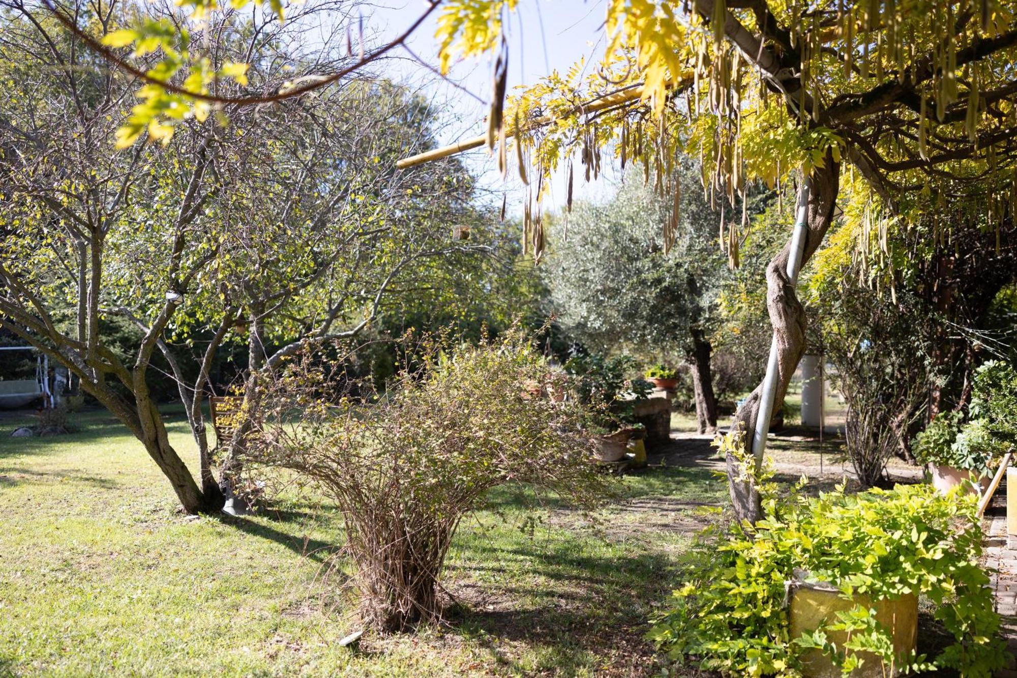Locanda Acetaia Malagoli Daniele Castelfranco Emilia Extérieur photo